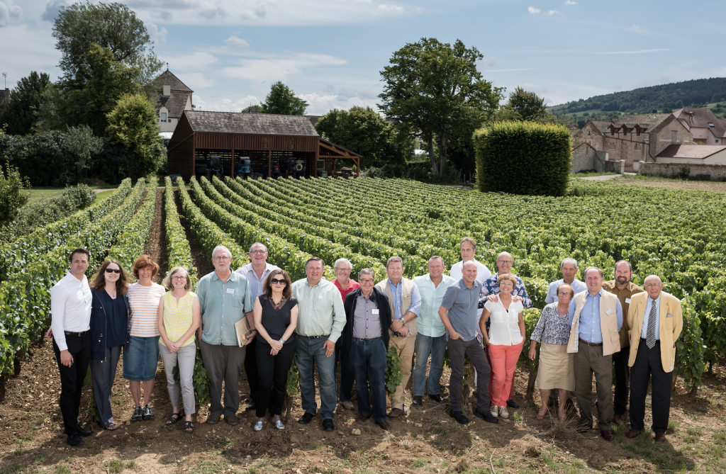 Focus on Chardonnay