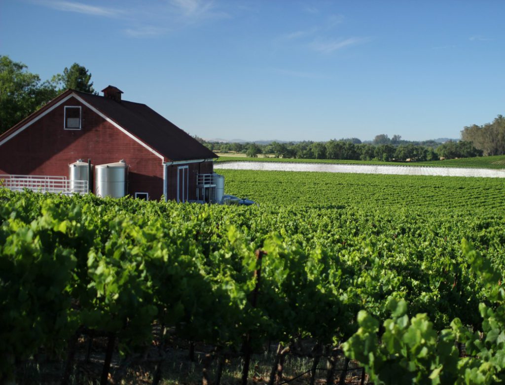 The Philosophy of Terroir