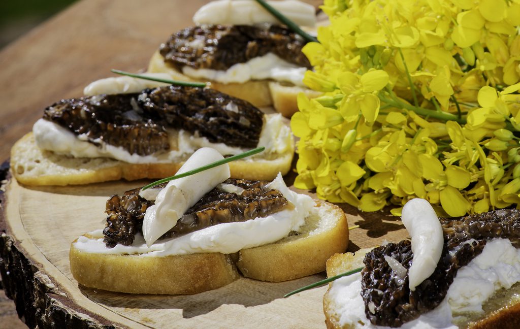 Lemon Ricotta Crostini with Morel Duxelles & Pickled White Asparagus
