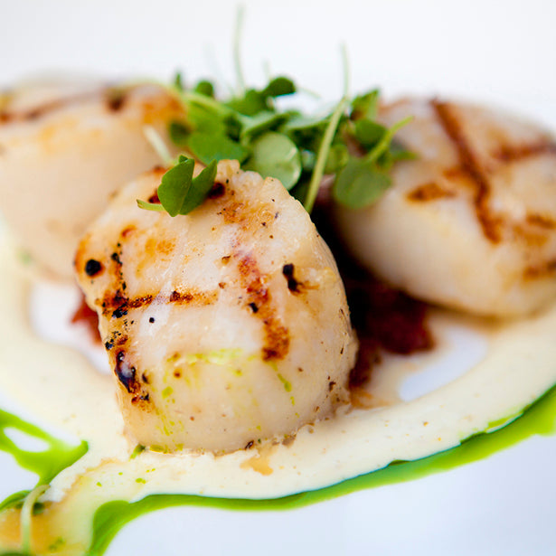 Seared Scallops on Creamy Leeks with Red and Orange Pepper Coulis