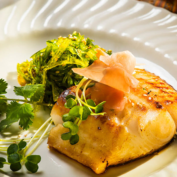 Miso Marinated Black Cod