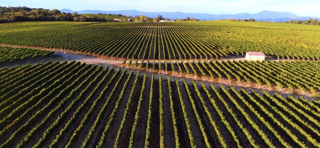 Sonoma-Cutrer’s Sustainability Story
